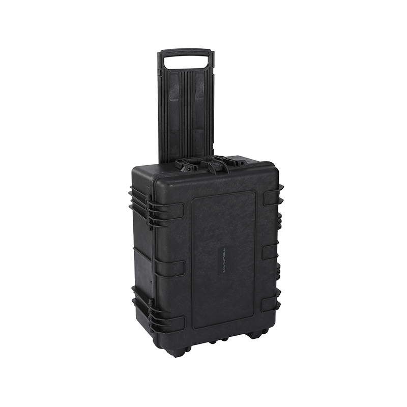 Carrying case wheeled