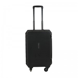 533525 Lightweight Plastic Travel Case With Handle